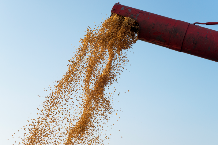 Seguro de cargas para o agronegócio